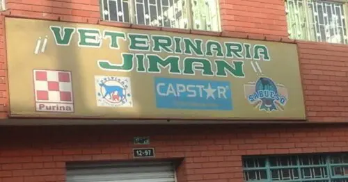 VETERINARIA JIMAN SAN LUIS VETERINARIA JIMAN SAN LUIS